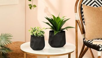Amazon Basics Planter (Set Of 2) | Flower Pot For Home Decor (Textured Black)
