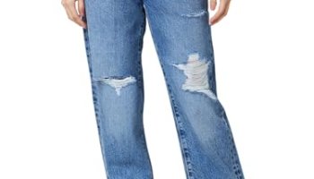 Spykar Women Mid Blue Straight Fit Regular Length Jeans