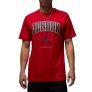 Nike Men’S Regular Fit T-Shirt (Hq0009-687_Gym Red Black