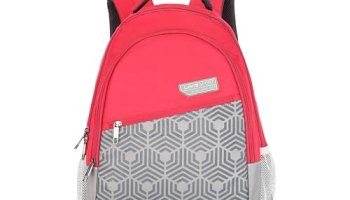 Lavie Sport Grid 21L Casual Backpack For Men & Women | Backpack For Boys & Girls