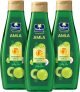 Parachute Advansed Amla Hair Oil With Vitamin E | Amla & Vitamin E | For All Hair Types Hair Oil(1500 Ml)
