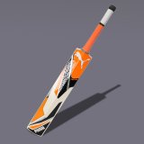 Puma Future Ew Snr 7.1 English Willow Cricket  Bat For 15+ Yrs(1180-1220 G)