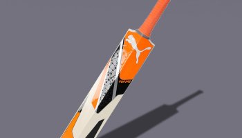 Puma Future Ew Snr 7.1 English Willow Cricket  Bat For 15+ Yrs(1180-1220 G)