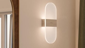 Murphy Frost Beam Wall Light | Pack Of 4 (2-Year Warranty) | Warm White Glow | Acrylic + Aluminium Oval Wall Highlighter |Premium Aluminium Finish