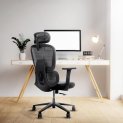 Frido Aeromesh Ergo Chair | Adjustable Armrests & Headrest | Lumbar Support | Breathable Mesh Back Fabric | Customizable Seat Depth & Height | Office Chair For Work & Study |120 Kg Capacity | Black