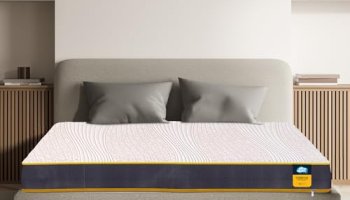 Centuary Mattresses Sleepables | 7 Years Warranty | 5-Inch Queen Size Dual Comfort Hard And Soft Reversible Roll Pack High Resilience (Hr) Foam Mattress (75X66X5)