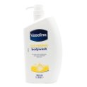 Vaseline Total Moisture Body Wash Pump Bottle For Healthy, Fresh Skin, Washes Away Dirt & Impurities, Fights Skin Dryness, Easy To Rinse, Gentle Body Cleanser For Nourished & Smooth Skin, 1L