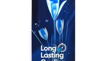 Candy 185 L 2 Star Direct Cool Single Door Refrigerator With Flower Pattern,Stabilizer Free Operation & Glossy Finish (Marine Lily, Csd1962Ml)